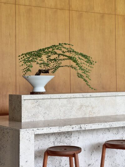 Bauhinia winitii Craib x Ikebana Vessel