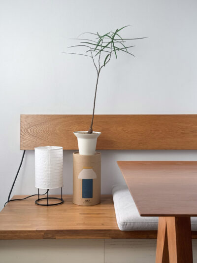 Brachychiton rupestris