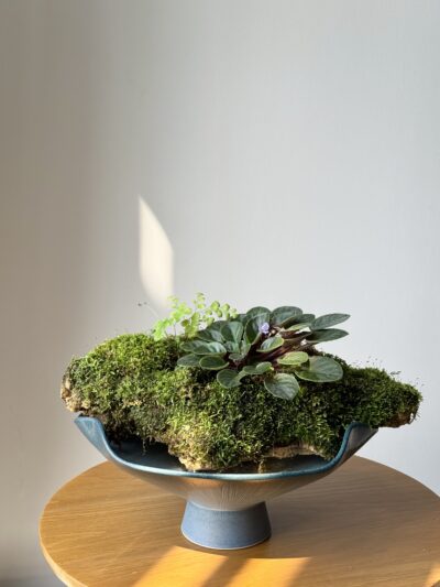 Miniature Living Landscape 01