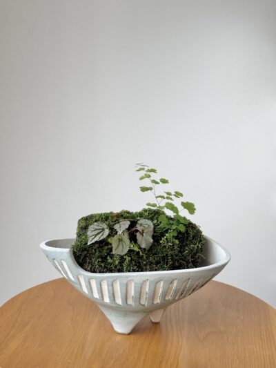 Miniature Living Landscape 03