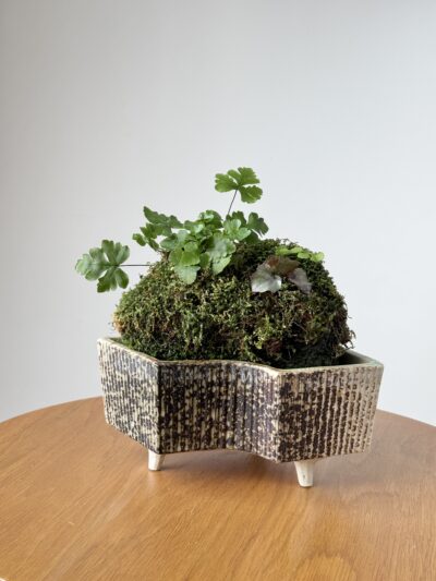 Miniature Living Landscape 02