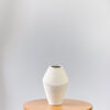 Dune Sandstone - Tall